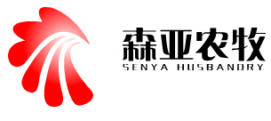 bob综合体育平台官网